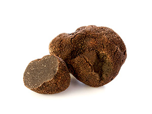 Tartufo nero pregiato